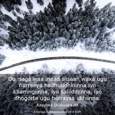 Picture 03 - Sharciga Kunoqoshadiisa 18:4 SOM - Oo isaga waa inaad siisaan waxa ugu horreeya - Bible Verse Picture