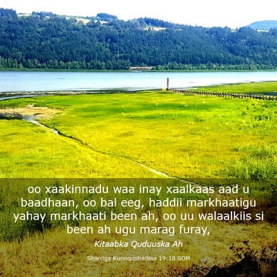 Picture 03 - Sharciga Kunoqoshadiisa 19:18 SOM - oo xaakinnadu waa inay xaalkaas aad u baadhaan, - Bible Verse Picture