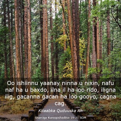 Picture 03 - Sharciga Kunoqoshadiisa 19:21 SOM - Oo ishiinnu yaanay ninna u nixin, nafu naf ha u - Bible Verse Picture