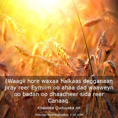 Picture 03 - Sharciga Kunoqoshadiisa 2:10 SOM - (Waagii hore waxaa halkaas degganaan jiray reer - Bible Verse Picture