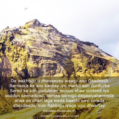 Picture 03 - Sharciga Kunoqoshadiisa 2:14 SOM - Oo wakhtigii u dhexeeyey waagii aan Qaadeesh - Bible Verse Picture