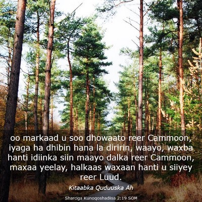 Picture 03 - Sharciga Kunoqoshadiisa 2:19 SOM - oo markaad u soo dhowaato reer Cammoon, iyaga ha - Bible Verse Picture