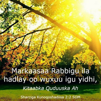 Picture 03 - Sharciga Kunoqoshadiisa 2:2 SOM - Markaasaa Rabbigu ila hadlay oo wuxuu igu - Bible Verse Picture
