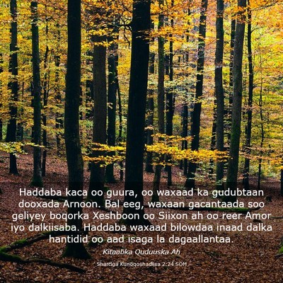 Picture 03 - Sharciga Kunoqoshadiisa 2:24 SOM - Haddaba kaca oo guura, oo waxaad ka gudubtaan - Bible Verse Picture
