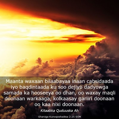 Picture 03 - Sharciga Kunoqoshadiisa 2:25 SOM - Maanta waxaan bilaabayaa inaan cabsidaada iyo - Bible Verse Picture