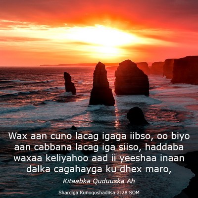 Picture 03 - Sharciga Kunoqoshadiisa 2:28 SOM - Wax aan cuno lacag igaga iibso, oo biyo aan - Bible Verse Picture