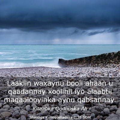 Picture 03 - Sharciga Kunoqoshadiisa 2:35 SOM - Laakiin waxaynu booli ahaan u qaadannay xoolihii - Bible Verse Picture