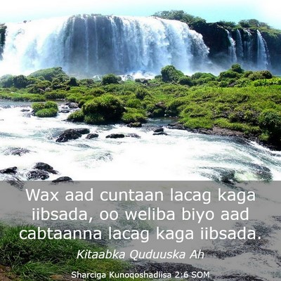 Picture 03 - Sharciga Kunoqoshadiisa 2:6 SOM - Wax aad cuntaan lacag kaga iibsada, oo weliba - Bible Verse Picture
