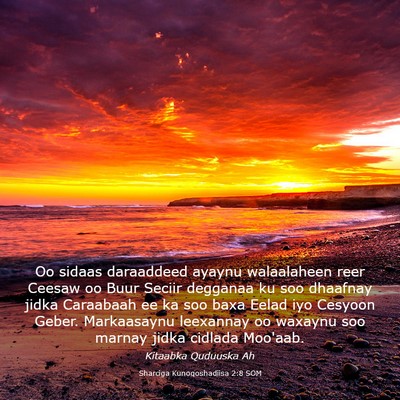 Picture 03 - Sharciga Kunoqoshadiisa 2:8 SOM - Oo sidaas daraaddeed ayaynu walaalaheen reer - Bible Verse Picture