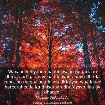 Picture 03 - Sharciga Kunoqoshadiisa 20:20 SOM - Waxaad keliyahoo baabbi'isaan oo jartaan dhirta - Bible Verse Picture