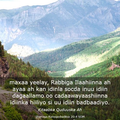 Picture 03 - Sharciga Kunoqoshadiisa 20:4 SOM - maxaa yeelay, Rabbiga Ilaahiinna ah ayaa ah kan - Bible Verse Picture