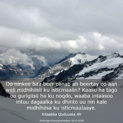 Picture 03 - Sharciga Kunoqoshadiisa 20:6 SOM - Oo ninkee baa beer canab ah beertay oo aan weli - Bible Verse Picture