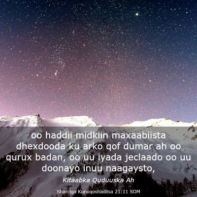 Picture 03 - Sharciga Kunoqoshadiisa 21:11 SOM - oo haddii midkiin maxaabiista dhexdooda ku arko - Bible Verse Picture