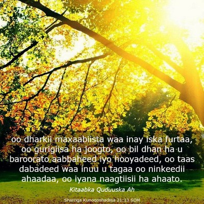 Picture 03 - Sharciga Kunoqoshadiisa 21:13 SOM - oo dharkii maxaabiista waa inay iska furtaa, oo - Bible Verse Picture