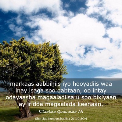 Picture 03 - Sharciga Kunoqoshadiisa 21:19 SOM - markaas aabbihiis iyo hooyadiis waa inay isaga - Bible Verse Picture