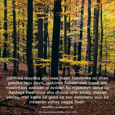 Picture 03 - Sharciga Kunoqoshadiisa 21:23 SOM - jidhkiisa meydka ahu waa inaan habeenka oo dhan - Bible Verse Picture