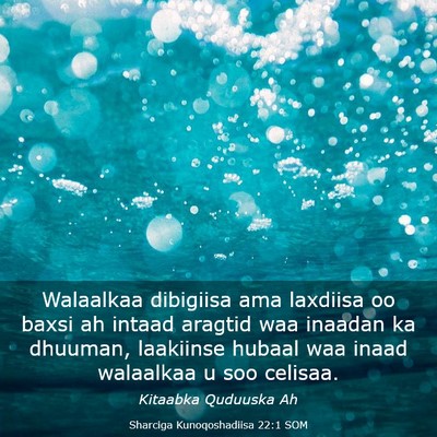 Picture 03 - Sharciga Kunoqoshadiisa 22:1 SOM - Walaalkaa dibigiisa ama laxdiisa oo baxsi ah - Bible Verse Picture