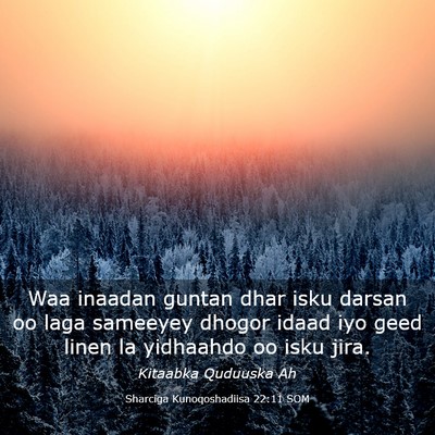 Picture 03 - Sharciga Kunoqoshadiisa 22:11 SOM - Waa inaadan guntan dhar isku darsan oo laga - Bible Verse Picture