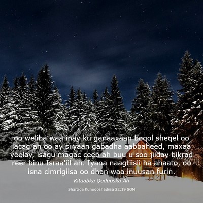Picture 03 - Sharciga Kunoqoshadiisa 22:19 SOM - oo weliba waa inay ku ganaaxaan boqol sheqel oo - Bible Verse Picture