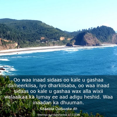 Picture 03 - Sharciga Kunoqoshadiisa 22:3 SOM - Oo waa inaad sidaas oo kale u gashaa dameerkiisa, - Bible Verse Picture