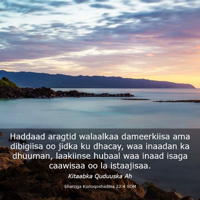 Picture 03 - Sharciga Kunoqoshadiisa 22:4 SOM - Haddaad aragtid walaalkaa dameerkiisa ama - Bible Verse Picture