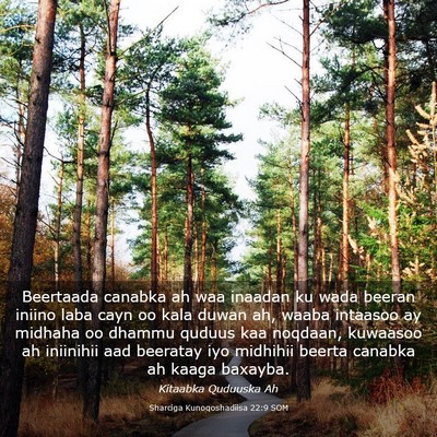 Picture 03 - Sharciga Kunoqoshadiisa 22:9 SOM - Beertaada canabka ah waa inaadan ku wada beeran - Bible Verse Picture