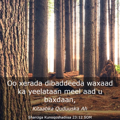 Picture 03 - Sharciga Kunoqoshadiisa 23:12 SOM - Oo xerada dibaddeeda waxaad ka yeelataan meel aad - Bible Verse Picture