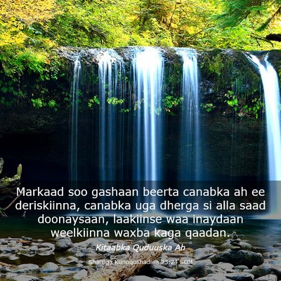 Picture 03 - Sharciga Kunoqoshadiisa 23:24 SOM - Markaad soo gashaan beerta canabka ah ee - Bible Verse Picture