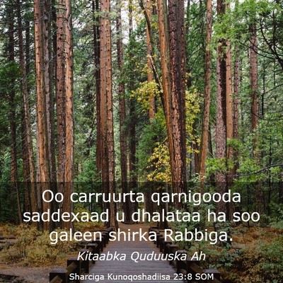 Picture 03 - Sharciga Kunoqoshadiisa 23:8 SOM - Oo carruurta qarnigooda saddexaad u dhalataa ha - Bible Verse Picture