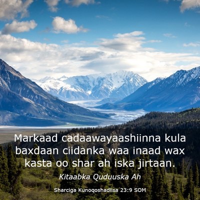 Picture 03 - Sharciga Kunoqoshadiisa 23:9 SOM - Markaad cadaawayaashiinna kula baxdaan ciidanka - Bible Verse Picture