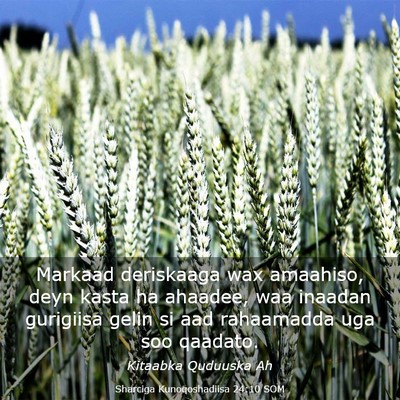 Picture 03 - Sharciga Kunoqoshadiisa 24:10 SOM - Markaad deriskaaga wax amaahiso, deyn kasta ha - Bible Verse Picture