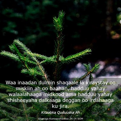 Picture 03 - Sharciga Kunoqoshadiisa 24:14 SOM - Waa inaadan dulmin shaqaale la kiraystay oo - Bible Verse Picture