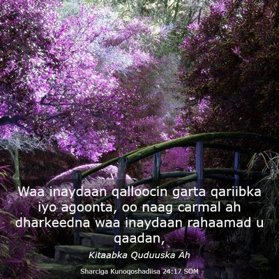 Picture 03 - Sharciga Kunoqoshadiisa 24:17 SOM - Waa inaydaan qalloocin garta qariibka iyo - Bible Verse Picture