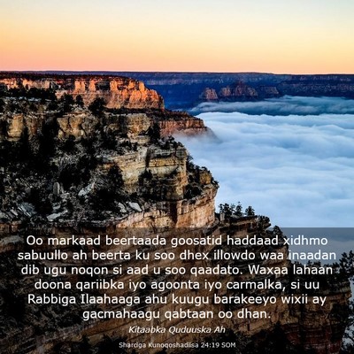 Picture 03 - Sharciga Kunoqoshadiisa 24:19 SOM - Oo markaad beertaada goosatid haddaad xidhmo - Bible Verse Picture