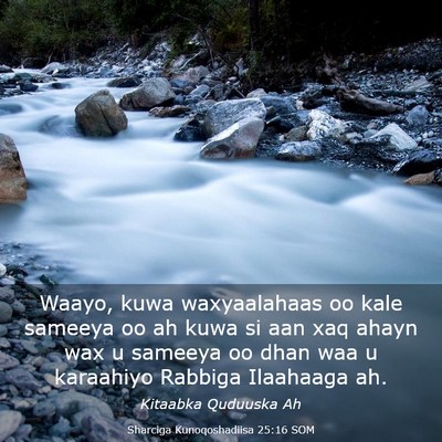 Picture 03 - Sharciga Kunoqoshadiisa 25:16 SOM - Waayo, kuwa waxyaalahaas oo kale sameeya oo ah - Bible Verse Picture