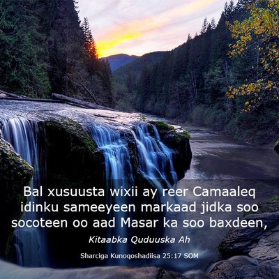 Picture 03 - Sharciga Kunoqoshadiisa 25:17 SOM - Bal xusuusta wixii ay reer Camaaleq idinku - Bible Verse Picture