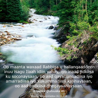 Picture 03 - Sharciga Kunoqoshadiisa 26:17 SOM - Oo maanta waxaad Rabbiga u ballanqaaddeen inuu - Bible Verse Picture