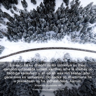 Picture 03 - Sharciga Kunoqoshadiisa 27:15 SOM - Inkaaru ha ku dhacdo ninkii sameeya oo meel - Bible Verse Picture