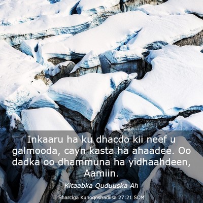 Picture 03 - Sharciga Kunoqoshadiisa 27:21 SOM - Inkaaru ha ku dhacdo kii neef u galmooda, cayn - Bible Verse Picture