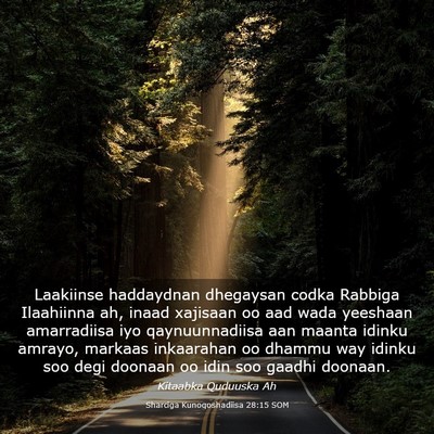 Picture 03 - Sharciga Kunoqoshadiisa 28:15 SOM - Laakiinse haddaydnan dhegaysan codka Rabbiga - Bible Verse Picture