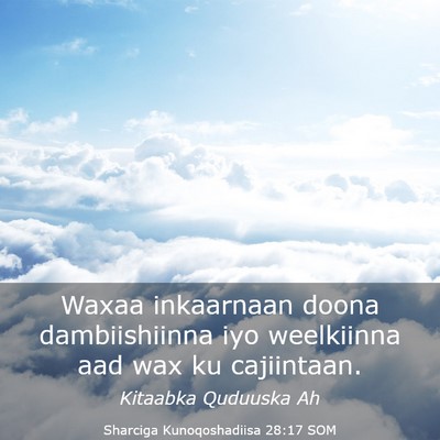Picture 03 - Sharciga Kunoqoshadiisa 28:17 SOM - Waxaa inkaarnaan doona dambiishiinna iyo - Bible Verse Picture