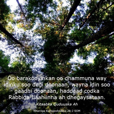 Picture 03 - Sharciga Kunoqoshadiisa 28:2 SOM - Oo barakooyinkan oo dhammuna way idinku soo degi - Bible Verse Picture