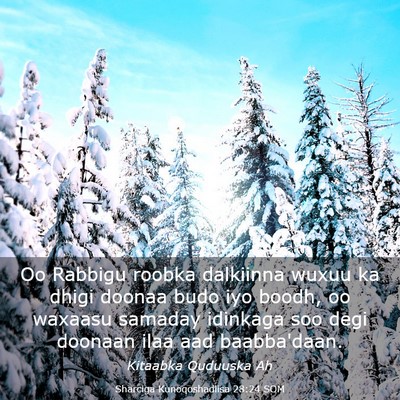Picture 03 - Sharciga Kunoqoshadiisa 28:24 SOM - Oo Rabbigu roobka dalkiinna wuxuu ka dhigi doonaa - Bible Verse Picture