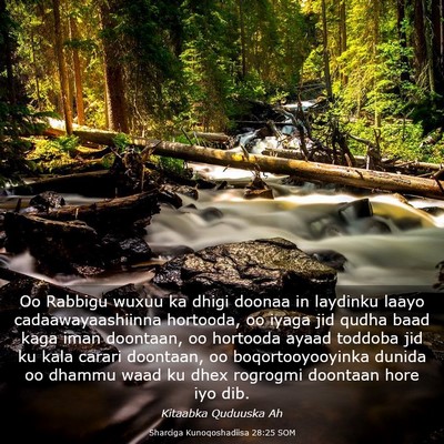 Picture 03 - Sharciga Kunoqoshadiisa 28:25 SOM - Oo Rabbigu wuxuu ka dhigi doonaa in laydinku - Bible Verse Picture