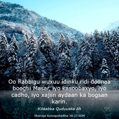 Picture 03 - Sharciga Kunoqoshadiisa 28:27 SOM - Oo Rabbigu wuxuu idinku ridi doonaa boogtii - Bible Verse Picture