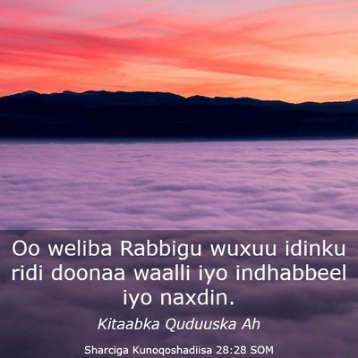 Picture 03 - Sharciga Kunoqoshadiisa 28:28 SOM - Oo weliba Rabbigu wuxuu idinku ridi doonaa waalli - Bible Verse Picture