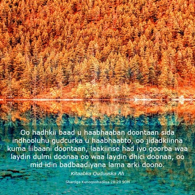 Picture 03 - Sharciga Kunoqoshadiisa 28:29 SOM - Oo hadhkii baad u haabhaaban doontaan sida - Bible Verse Picture