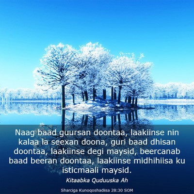 Picture 03 - Sharciga Kunoqoshadiisa 28:30 SOM - Naag baad guursan doontaa, laakiinse nin kalaa la - Bible Verse Picture