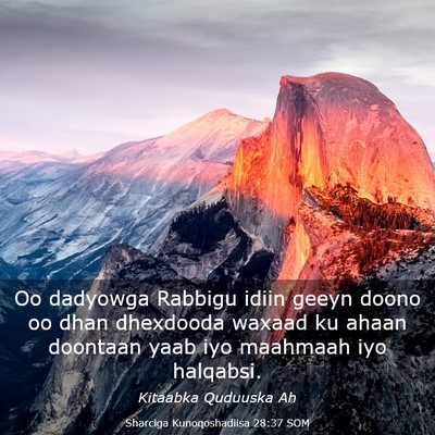 Picture 03 - Sharciga Kunoqoshadiisa 28:37 SOM - Oo dadyowga Rabbigu idiin geeyn doono oo dhan - Bible Verse Picture