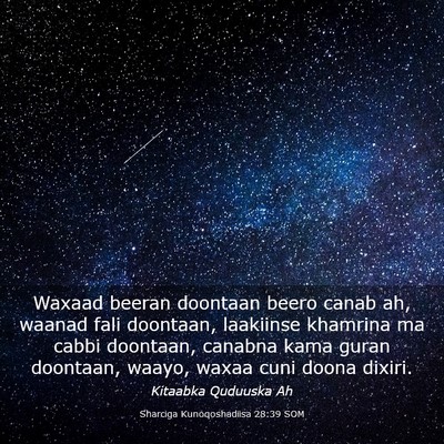 Picture 03 - Sharciga Kunoqoshadiisa 28:39 SOM - Waxaad beeran doontaan beero canab ah, waanad - Bible Verse Picture